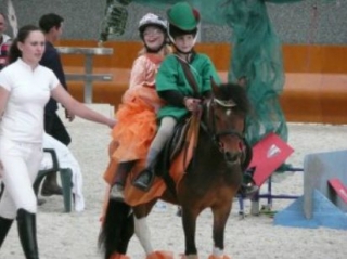 Animations equestres enfants